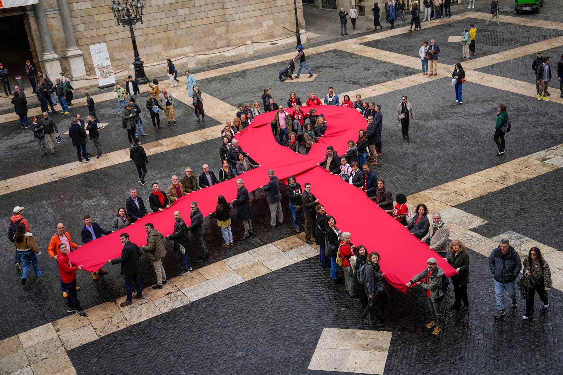 Inmunoterapia experimental o trasplantes de células madre, distintas vías contra el VIH