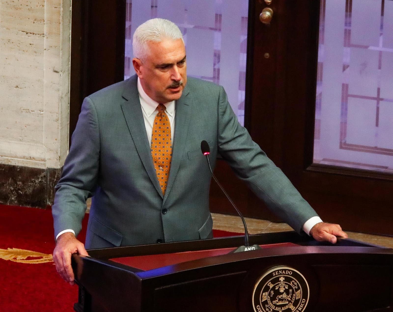 Rivera Schatz dice que actual gerencia de AAA es un problema