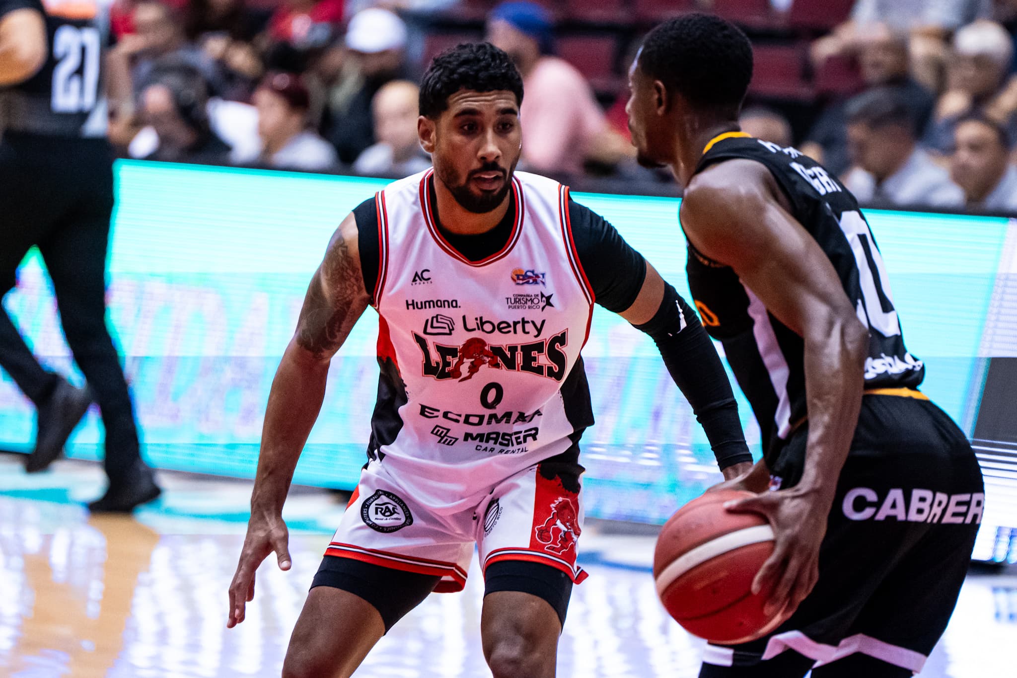 Piratas y Leones con victorias en el BSN