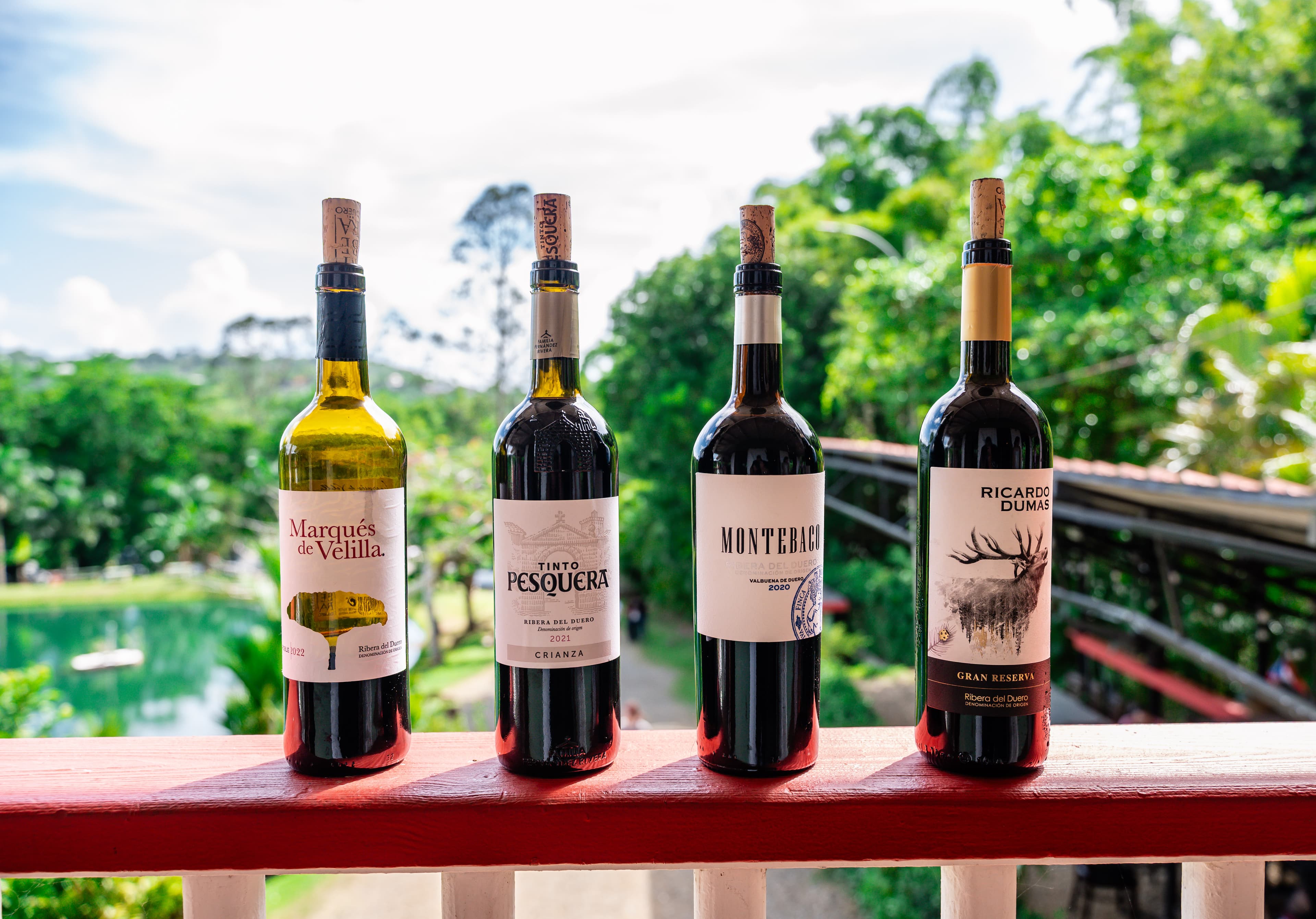 Parte de los vinos que degustaron en la actividad efectuada en el restaurante Bacoa.