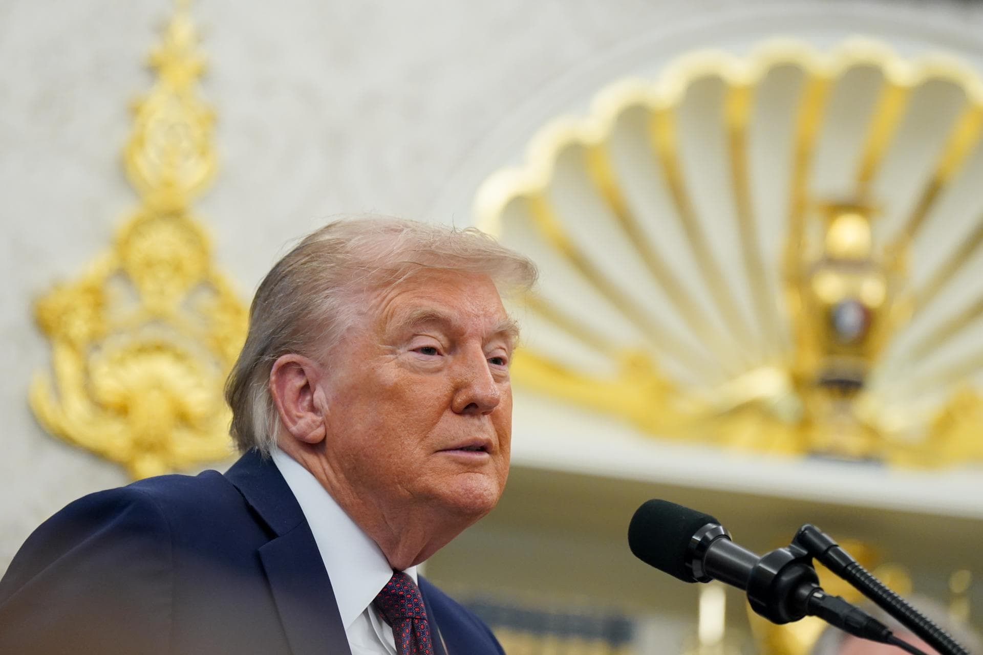 Trump no podrá usar la Ley de Enemigos Extranjeros en deportaciones