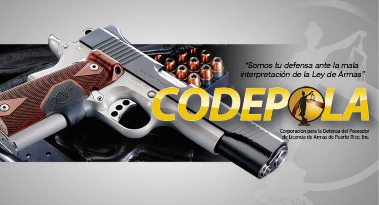 Ciberataques frenan renovaciones de licencias de armas