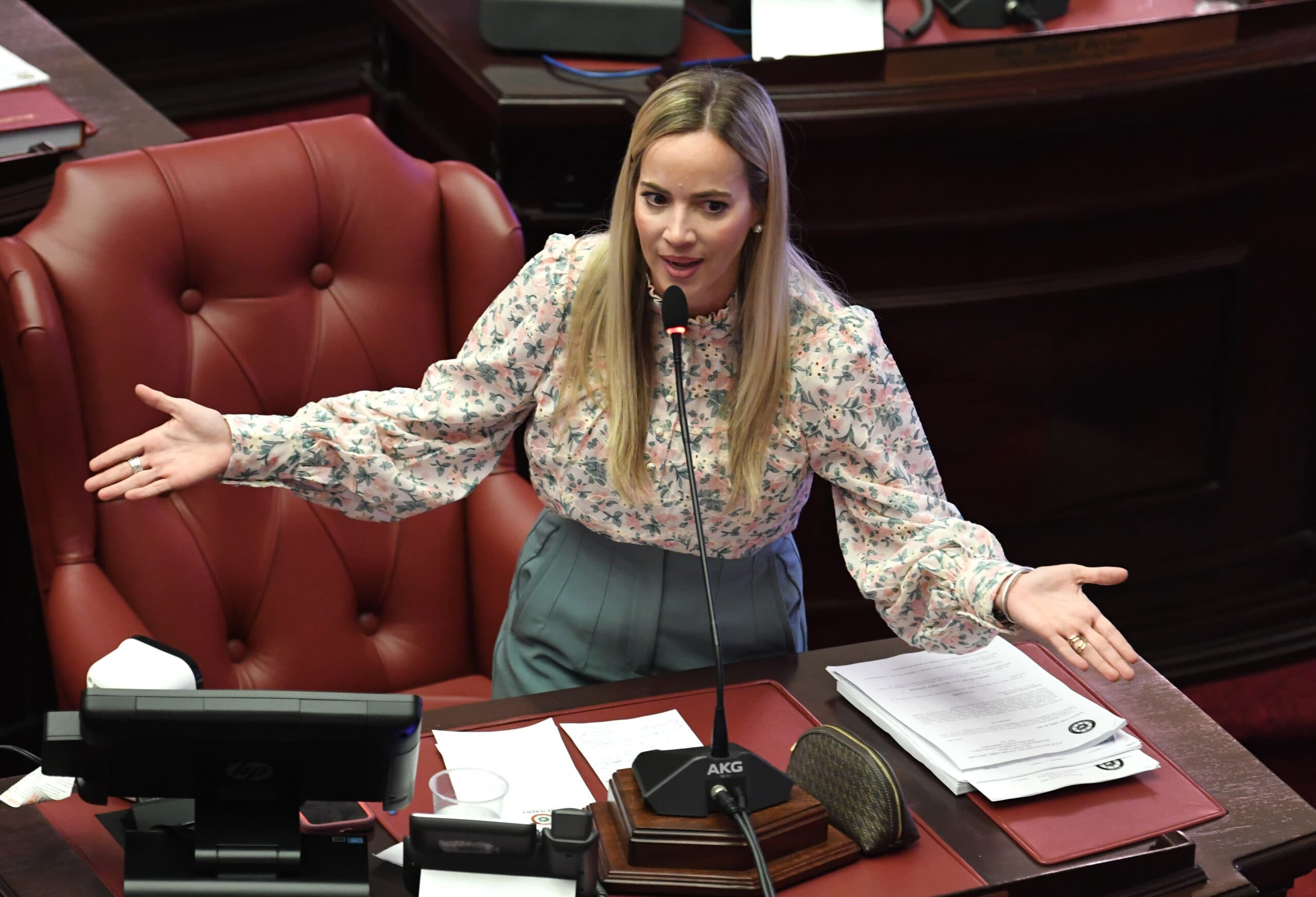 Rodríguez Veve acusa a Justicia de avalar “impunidad” al no recomendar FEI contra Procuradora de las Mujeres