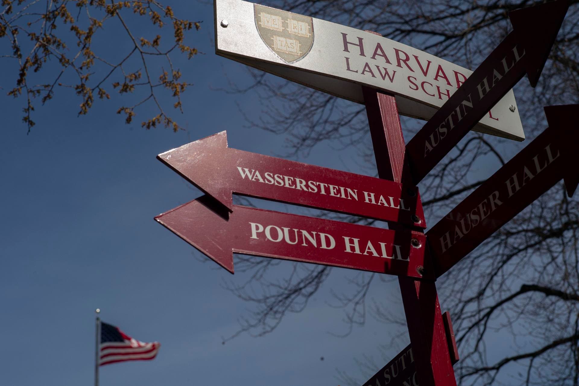 Trump retira otros $450 millones de financiación a Harvard