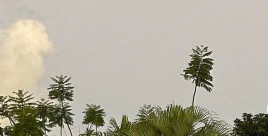 Entrada de polvo del Sahara afectará la isla en los próximos días