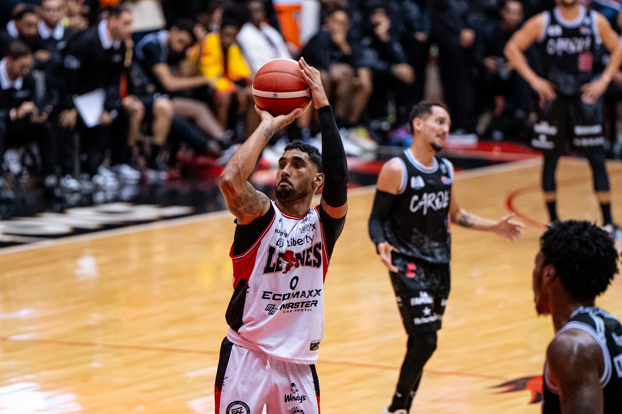 Santeros y Leones con victorias en el BSN
