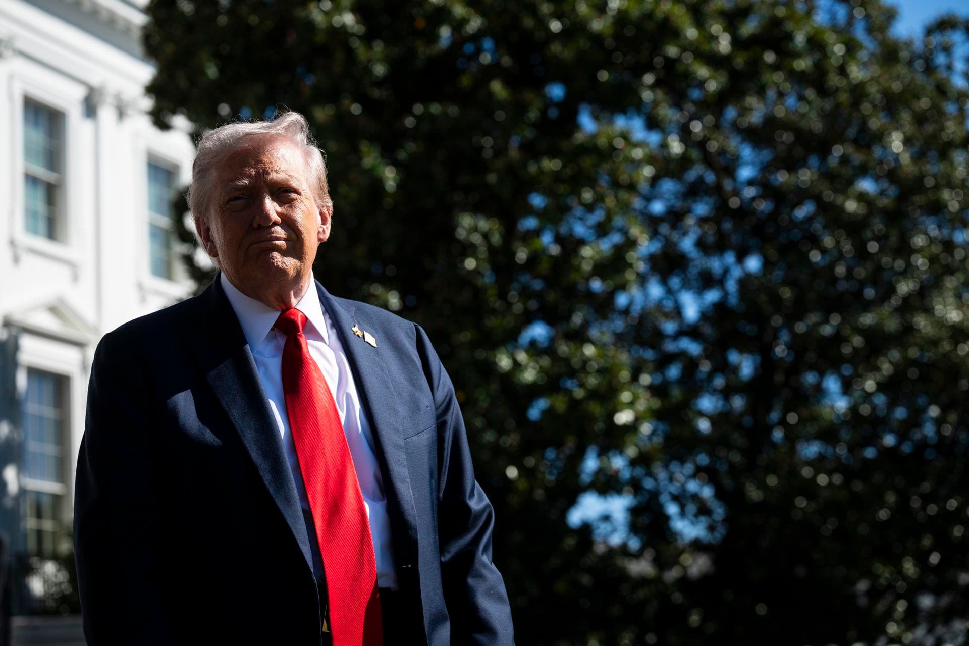 Trump anuncia que el combate de la UFC en la Casa Blanca será el día de ...
