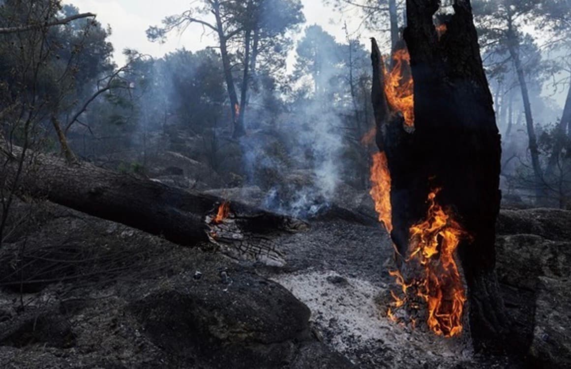 España recibe apoyo de Portugal, Grecia e Italia para hacer frente a los incendios