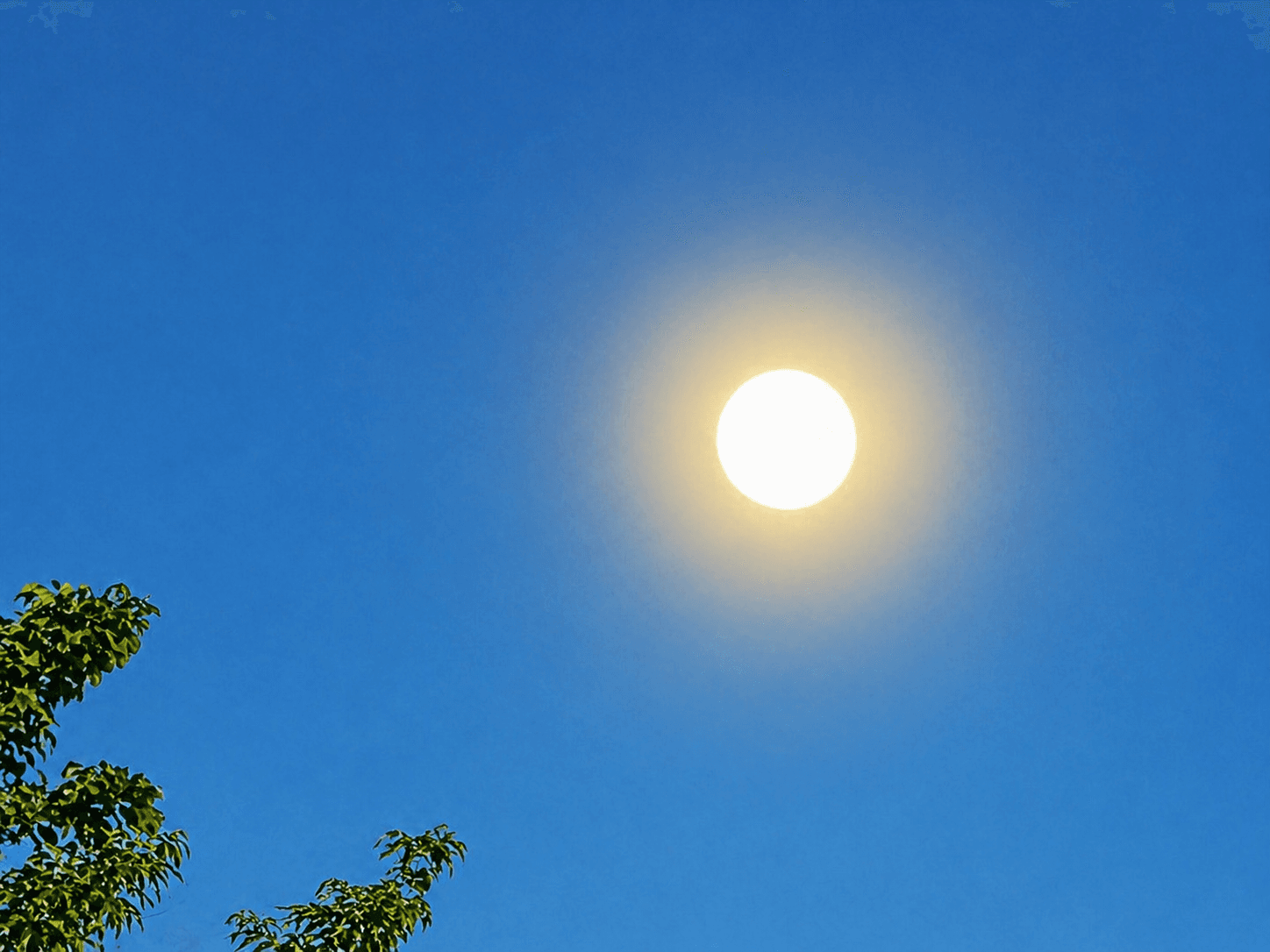 Lunes soleado y con bastante calor 