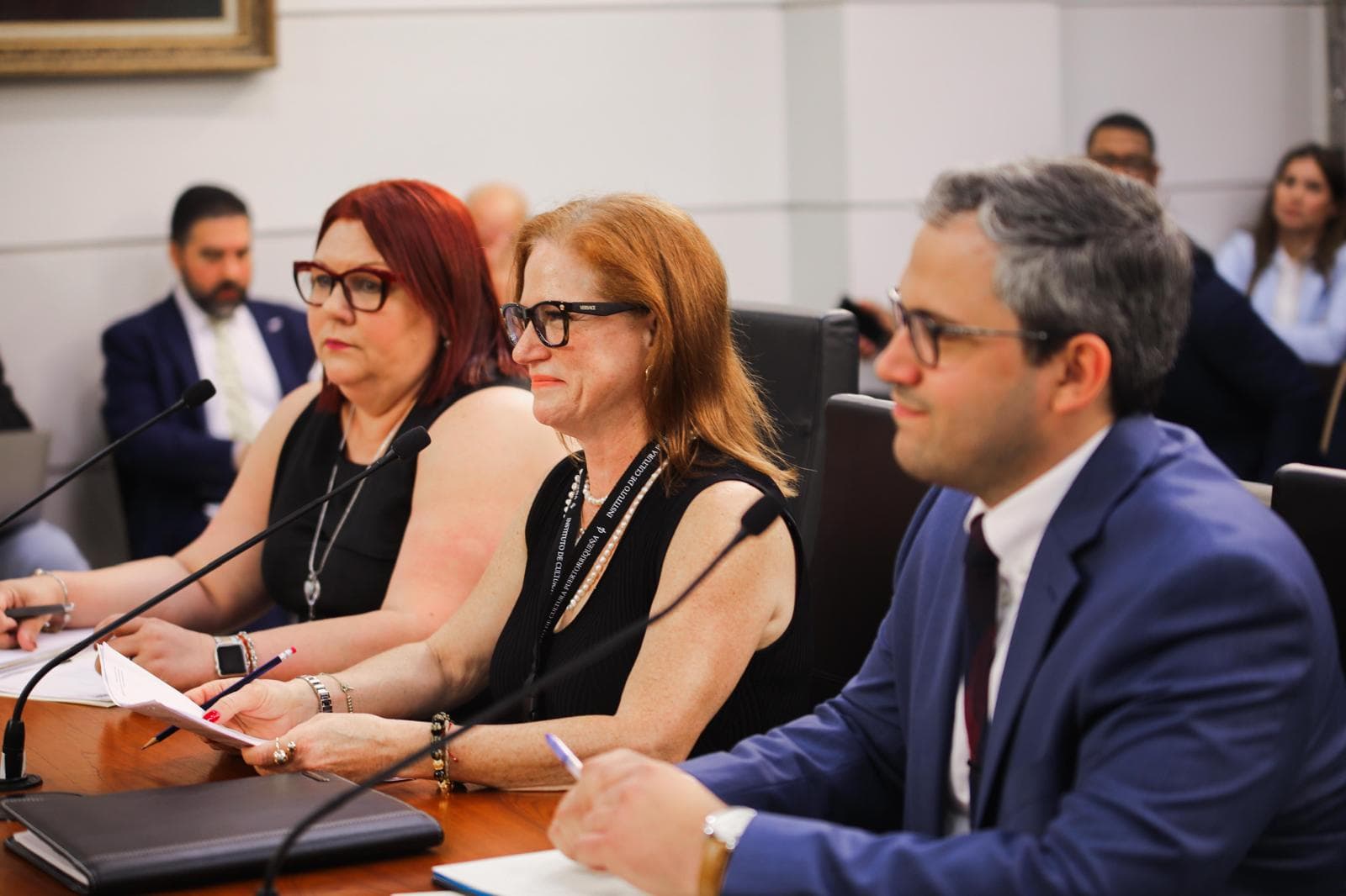 Senado evalúa transferir el Instituto de Cultura al DDEC 