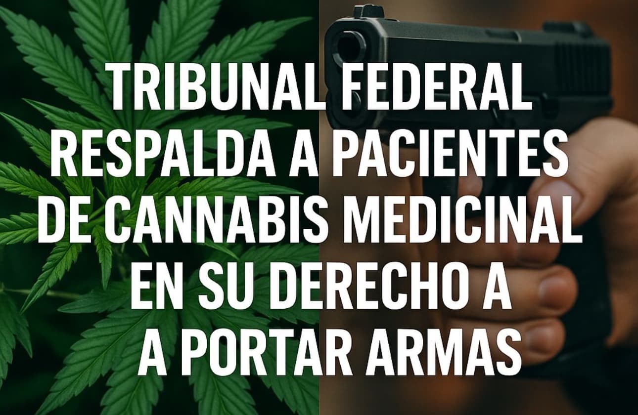 Tribunal federal respalda a pacientes de cannabis medicinal en su derecho a portar armas