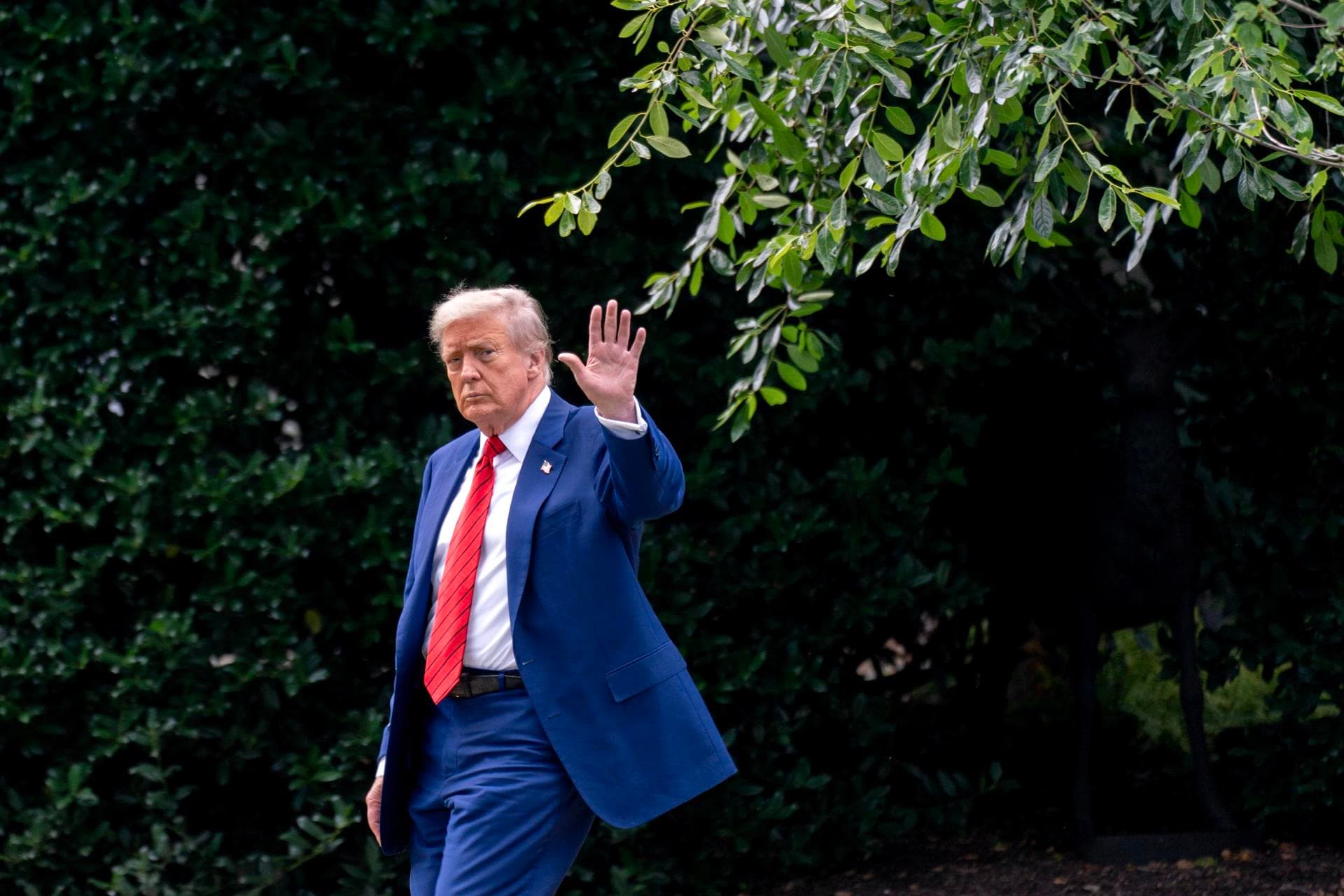 Trump califica de "estafa" los créditos a energía renovable 