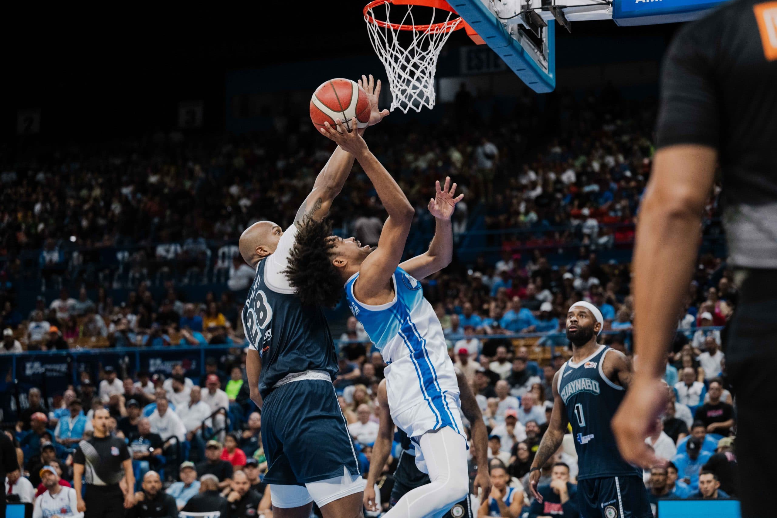 Reanuda la acción en el BSN 