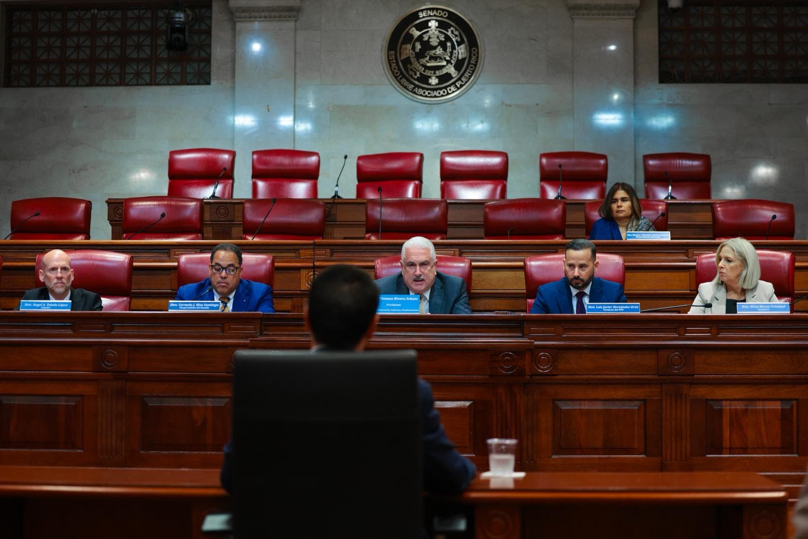 Senado evalúa designación de Carlos J. Ríos Pierluisi como secretario del DDEC