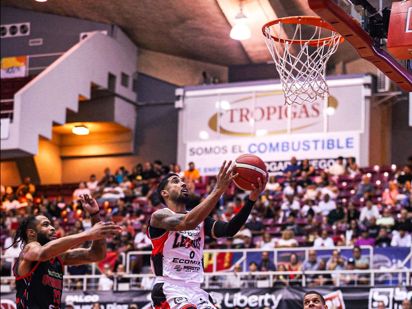 Vaqueros y Leones con victorias en el BSN 
