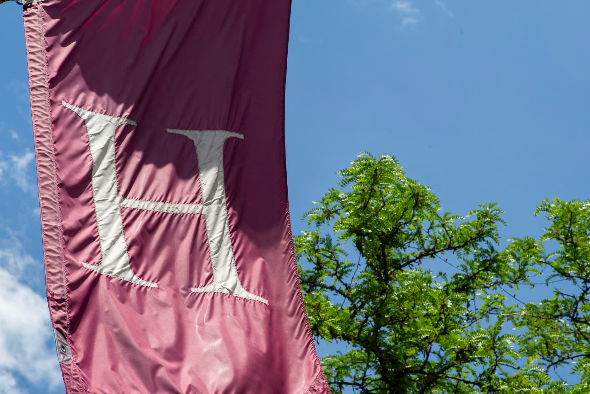 Abren investigación a Harvard por visados internacionales