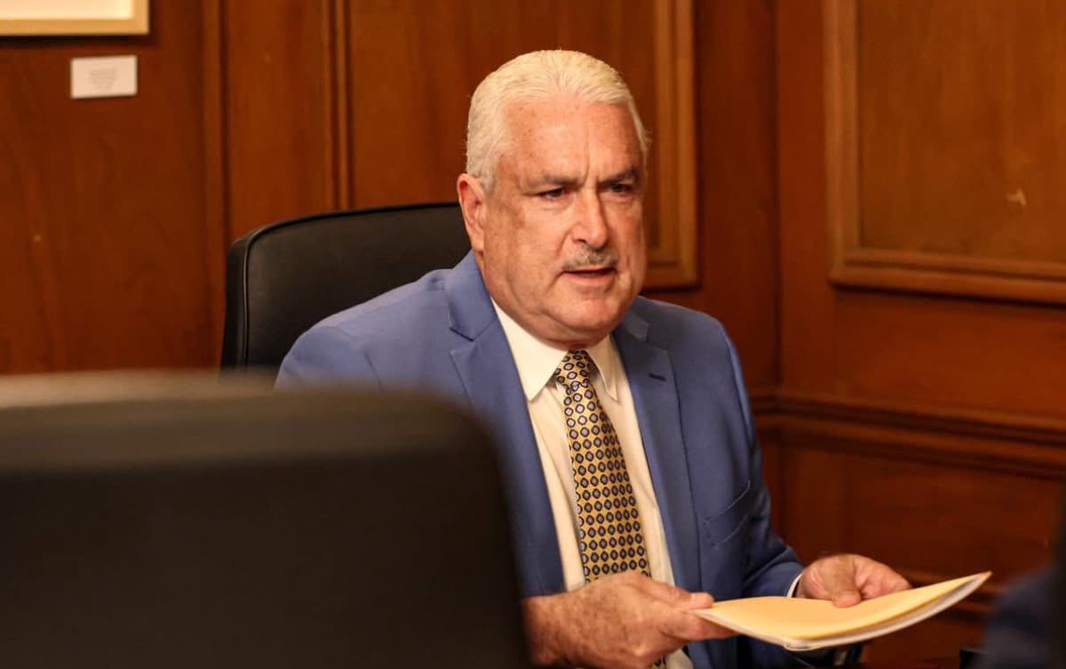 Rivera Schatz defiende el voto por correo en medio del debate por enmiendas al Código Electoral