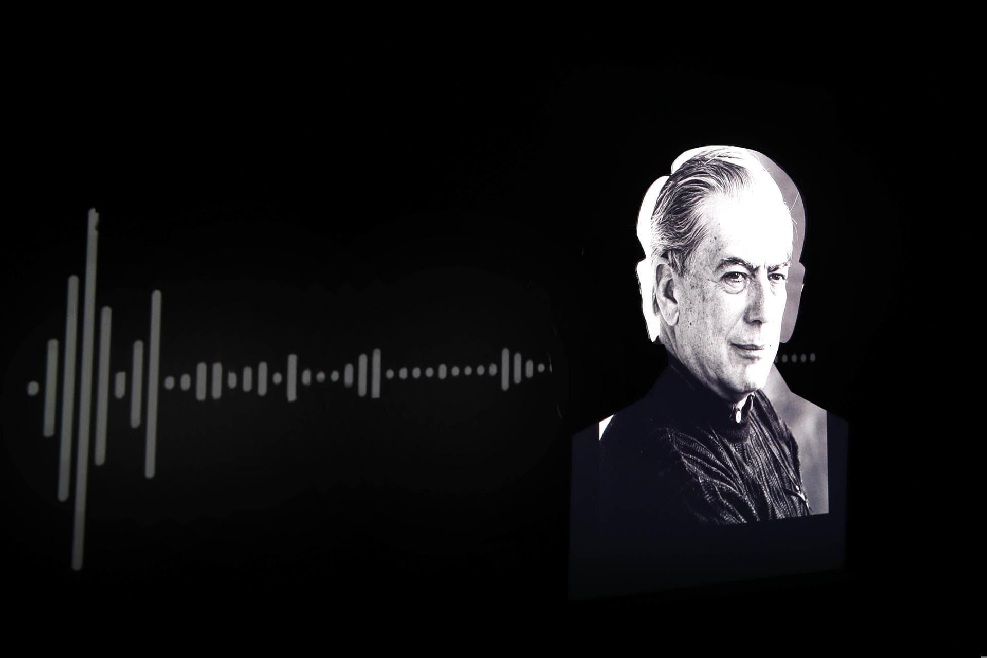 'Diccionario Vargas Llosa' será presentado en el Congreso de la Lengua Española