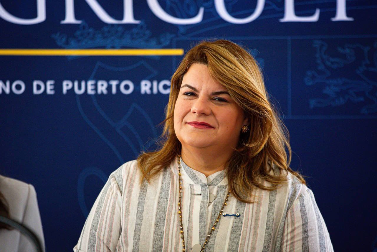 Gobernadora descarta seguir con el Comité PARE