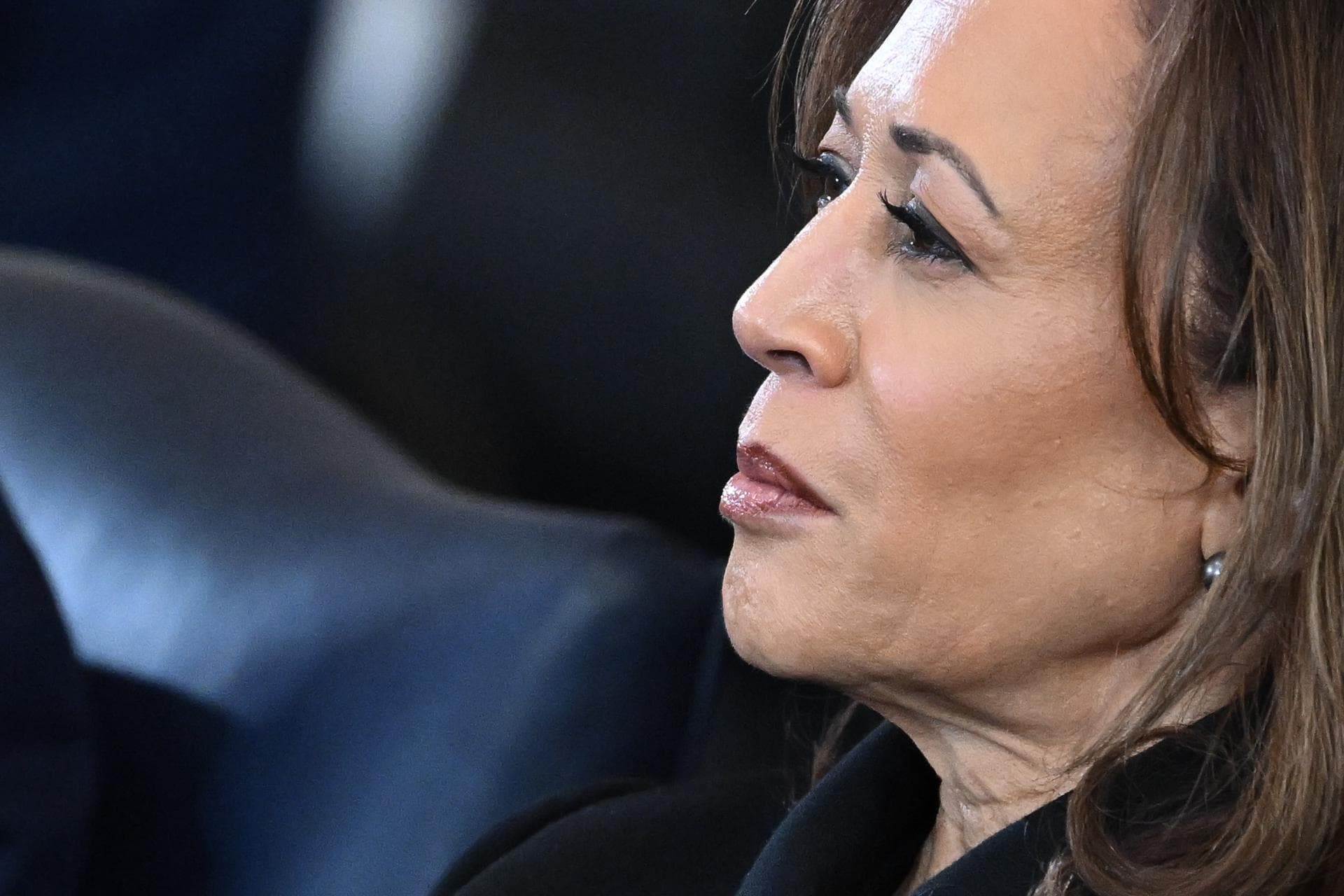Kamala Harris ahora aborrece el sistema político que utilizó