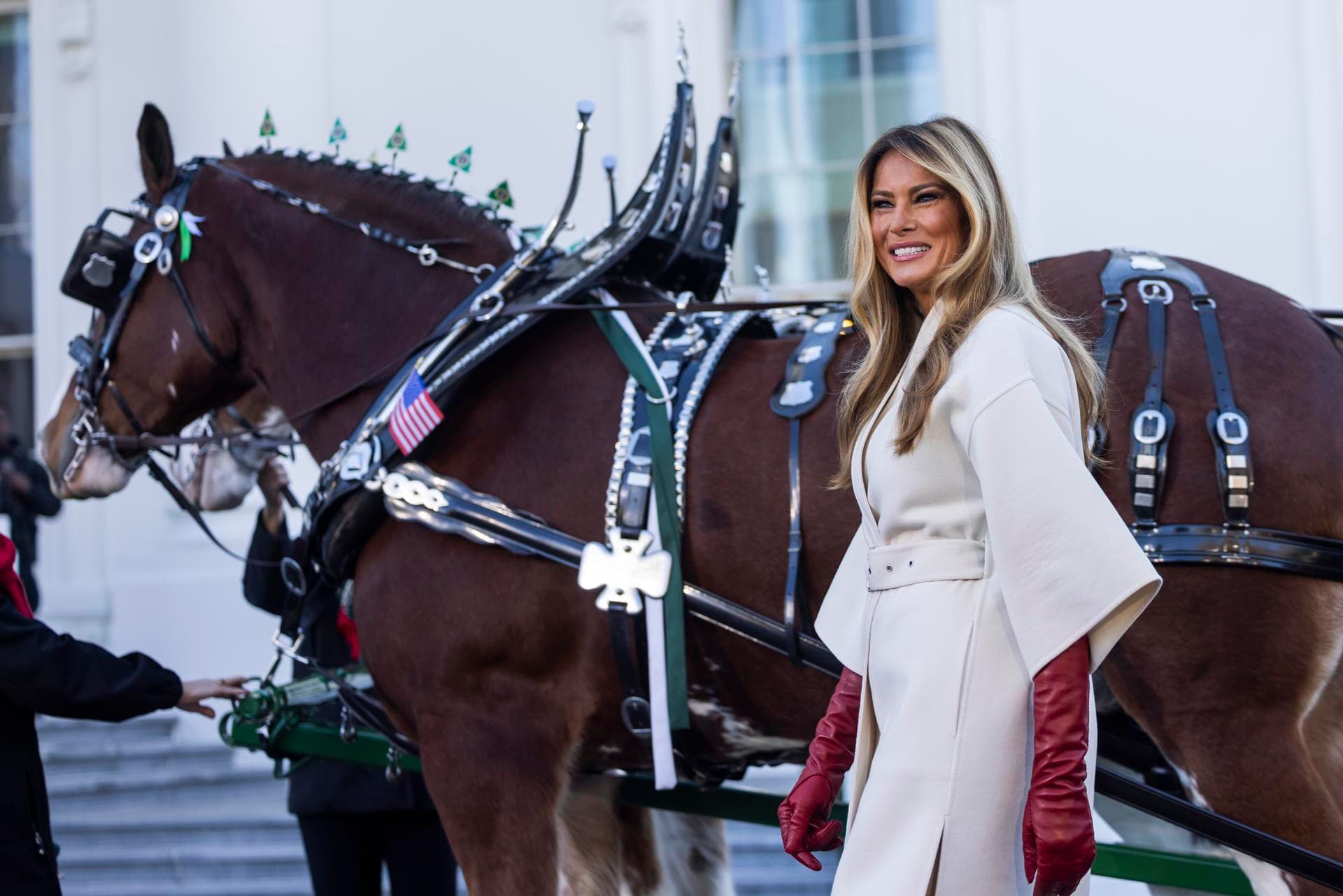 Melania Trump recibe el árbol que presidirá la navidad en la Casa Blanca
