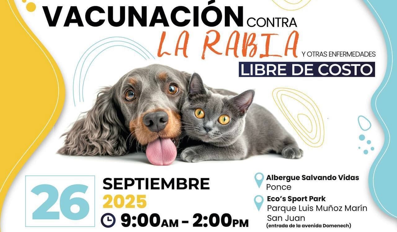 Salud impulsa campaña gratuita de vacunación contra la rabia para perros y gatos