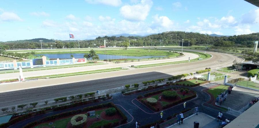 Comisión de Juegos limita el uso del foete y prohíbe las espuelas en el deporte hípico