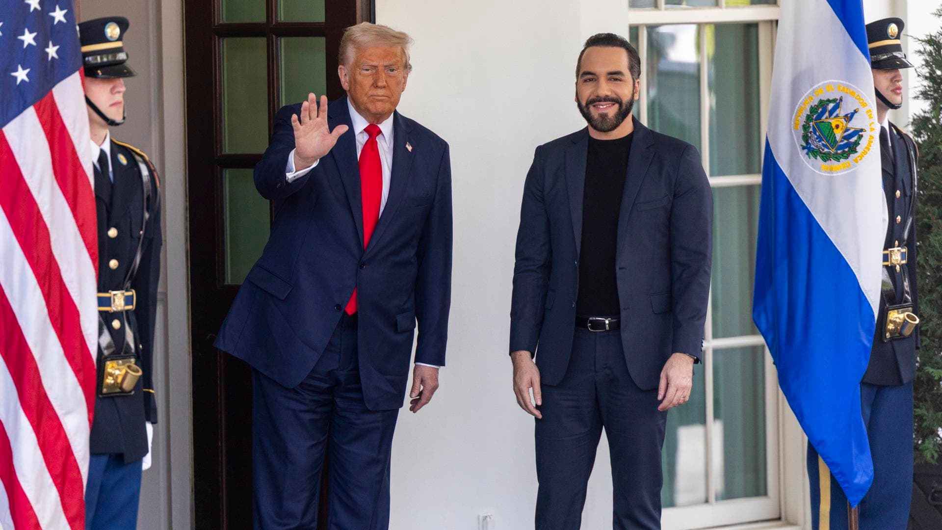 Article header image