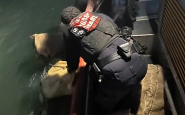 Ocupan cargamento de cocaína valorado en 5 millones en el puerto de San Juan