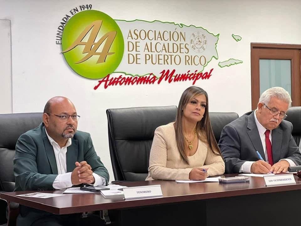 Alcaldes del PPD exigen reunión con LUMA por facilidades