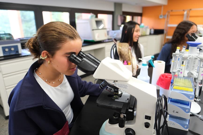 Invitan a chicas a ser parte del Programa Semillas de Triunfo de CienciaPR libre de costo