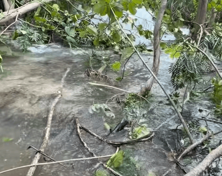 Guaynabo activa plan de apoyo ante emergencia por avería en el Superacueducto