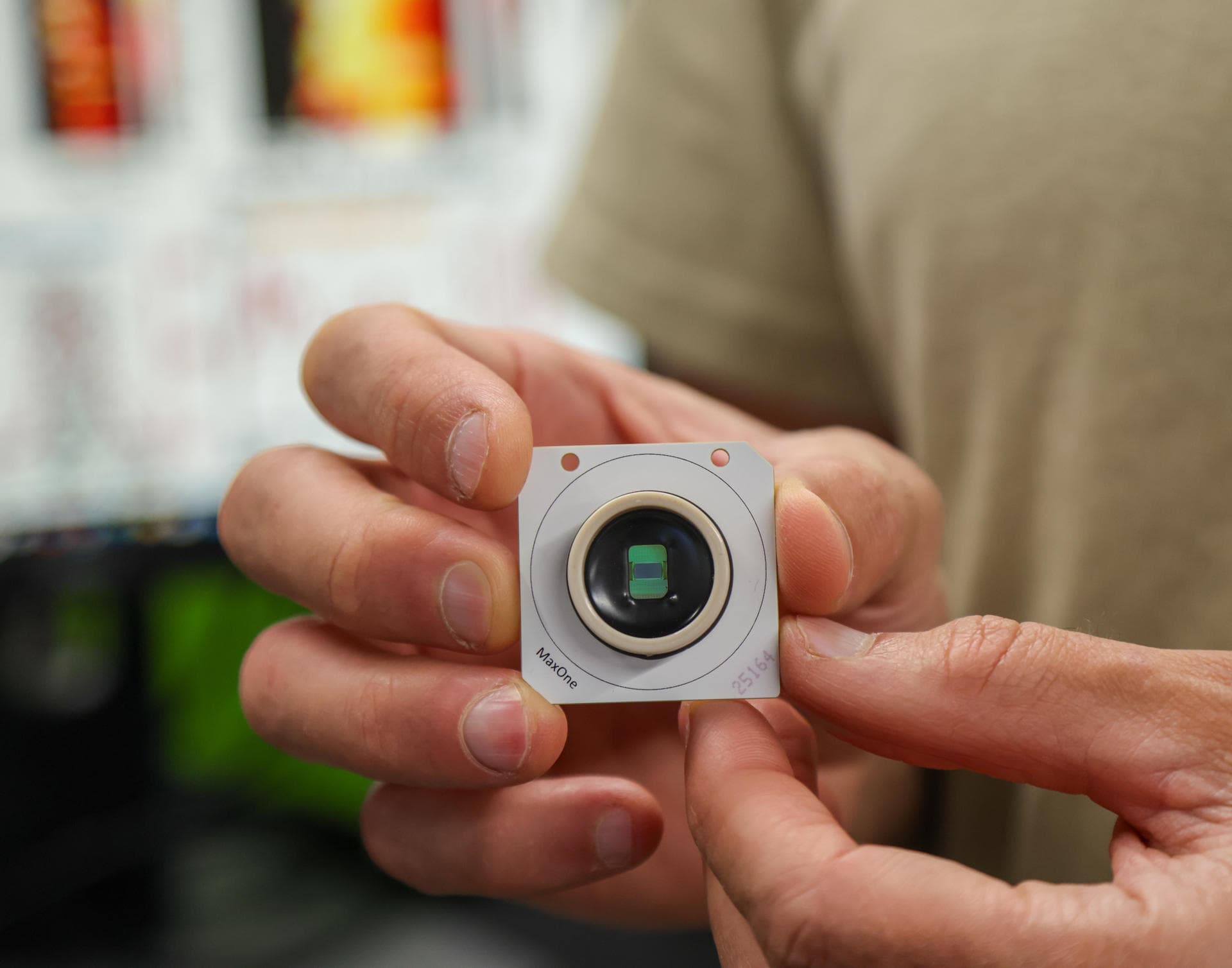 El cerebro humano viene 'preconfigurado' con instrucciones para comprender el mundo