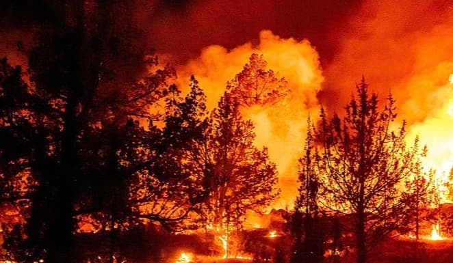 Los incendios se intensifican en noroeste de EEUU: Oregón rompe récord de área quemada