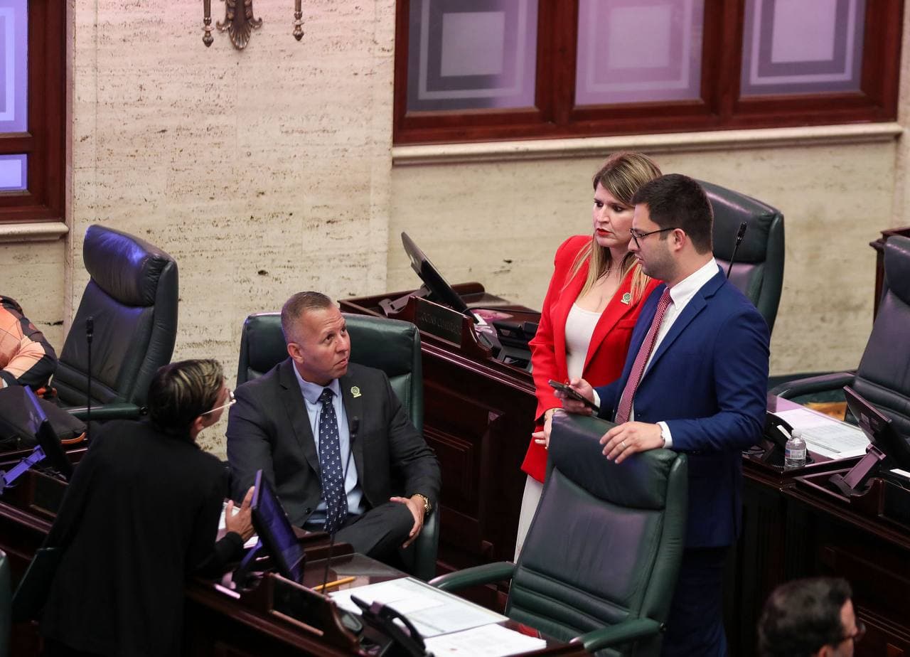 Cámara exigirá al DDEC informe de investigación sobre alegadas intervenciones en contrato