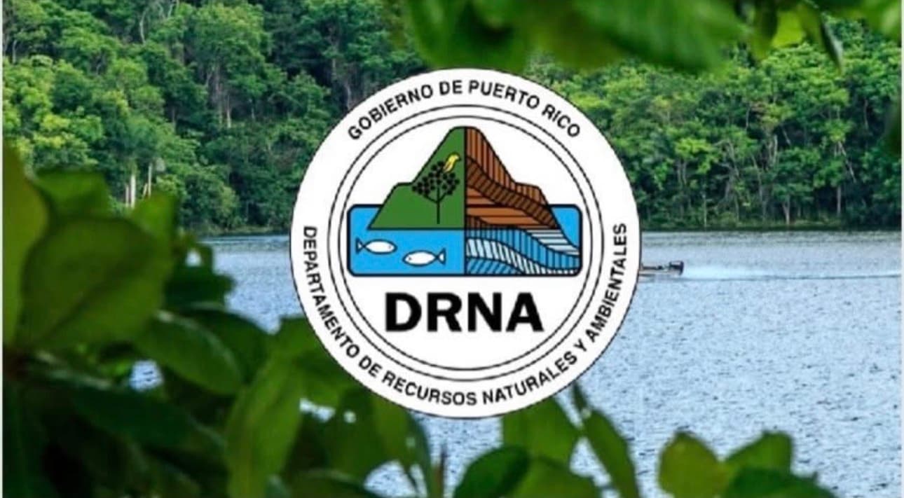 DRNA investiga posible reducción de bioluminiscencia en bahía de Vieques