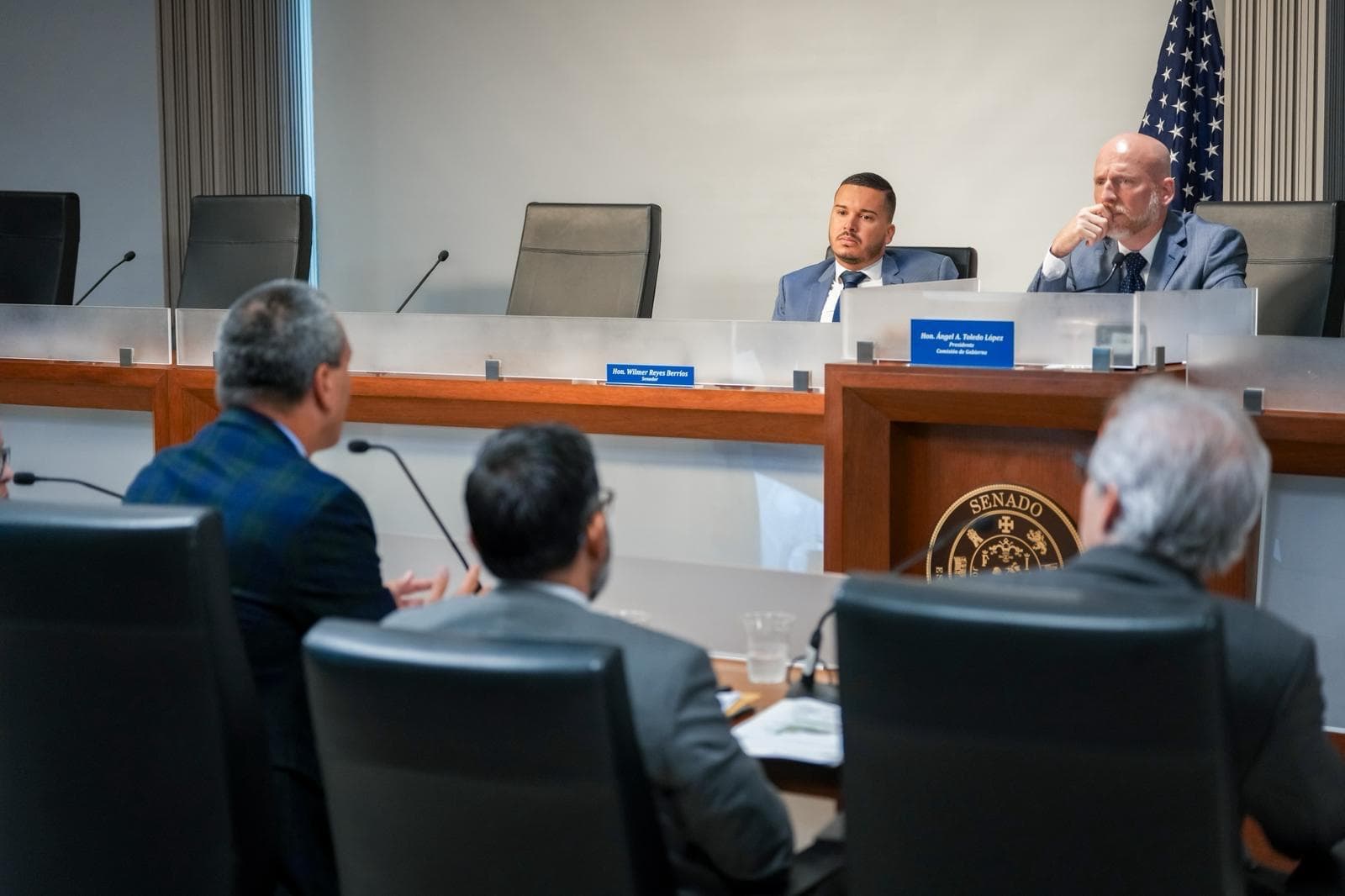 Negociado de Energía detalla ante el Senado estado y avances en proyectos