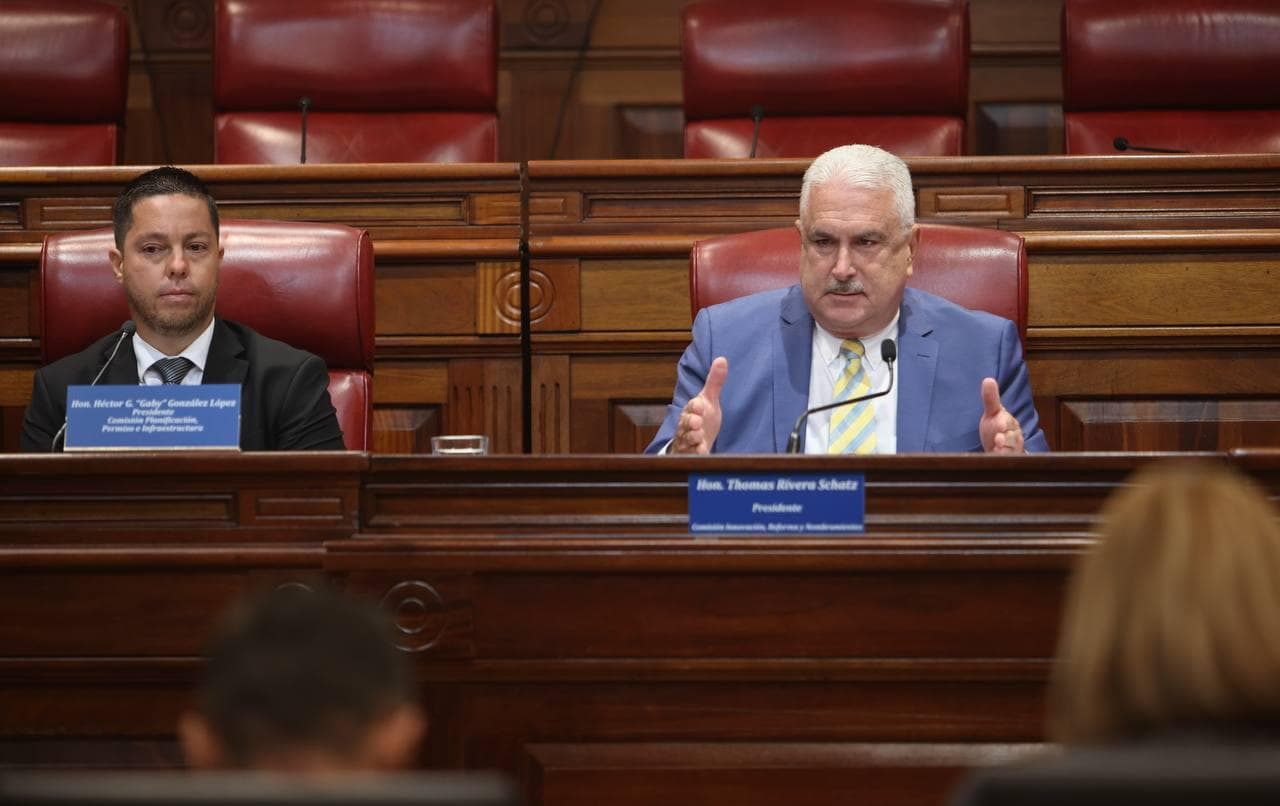 Rivera Schatz cuestiona estructura propuesta en reforma de permisos