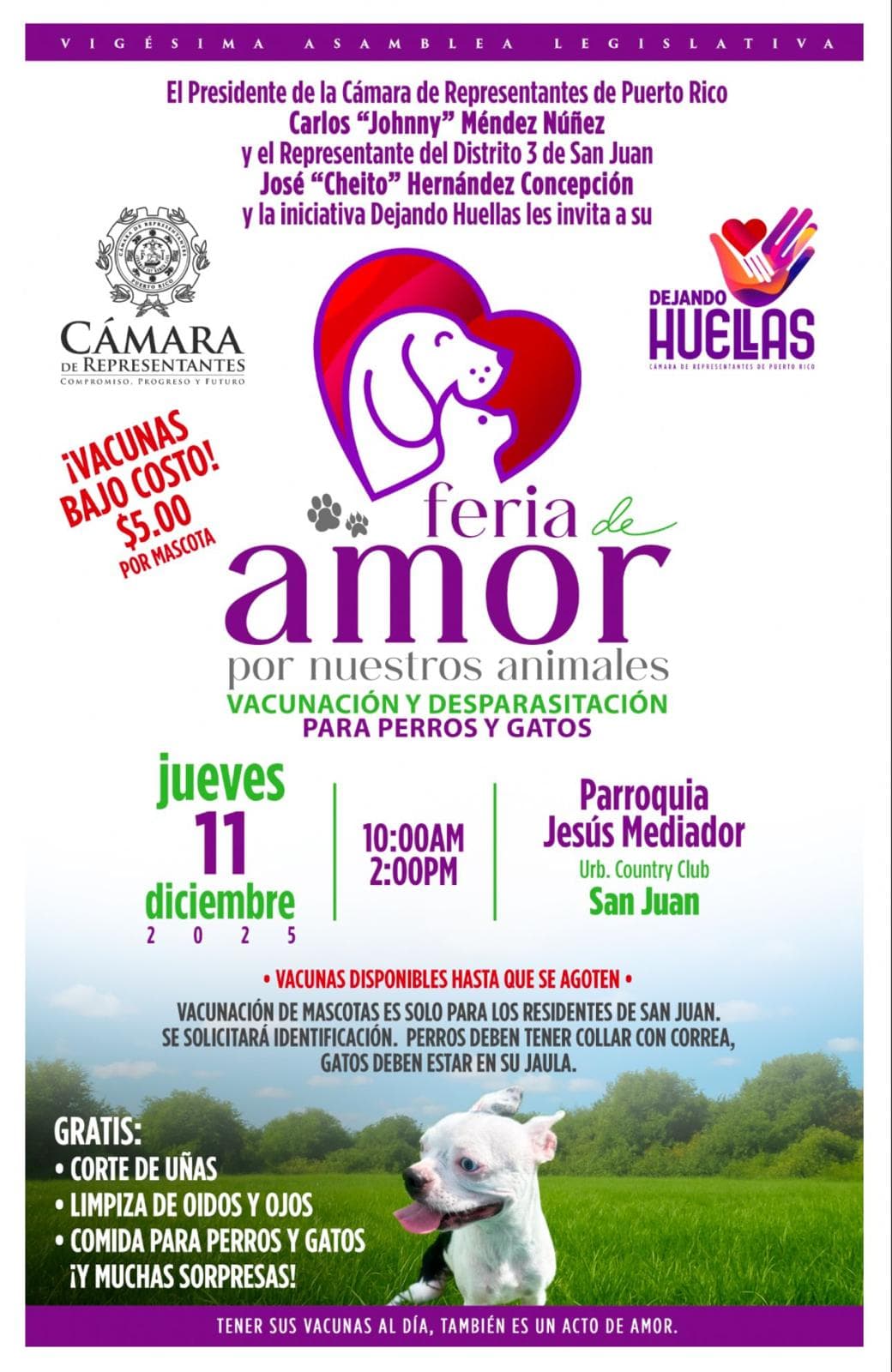 Imagen ilustrativa del artículo