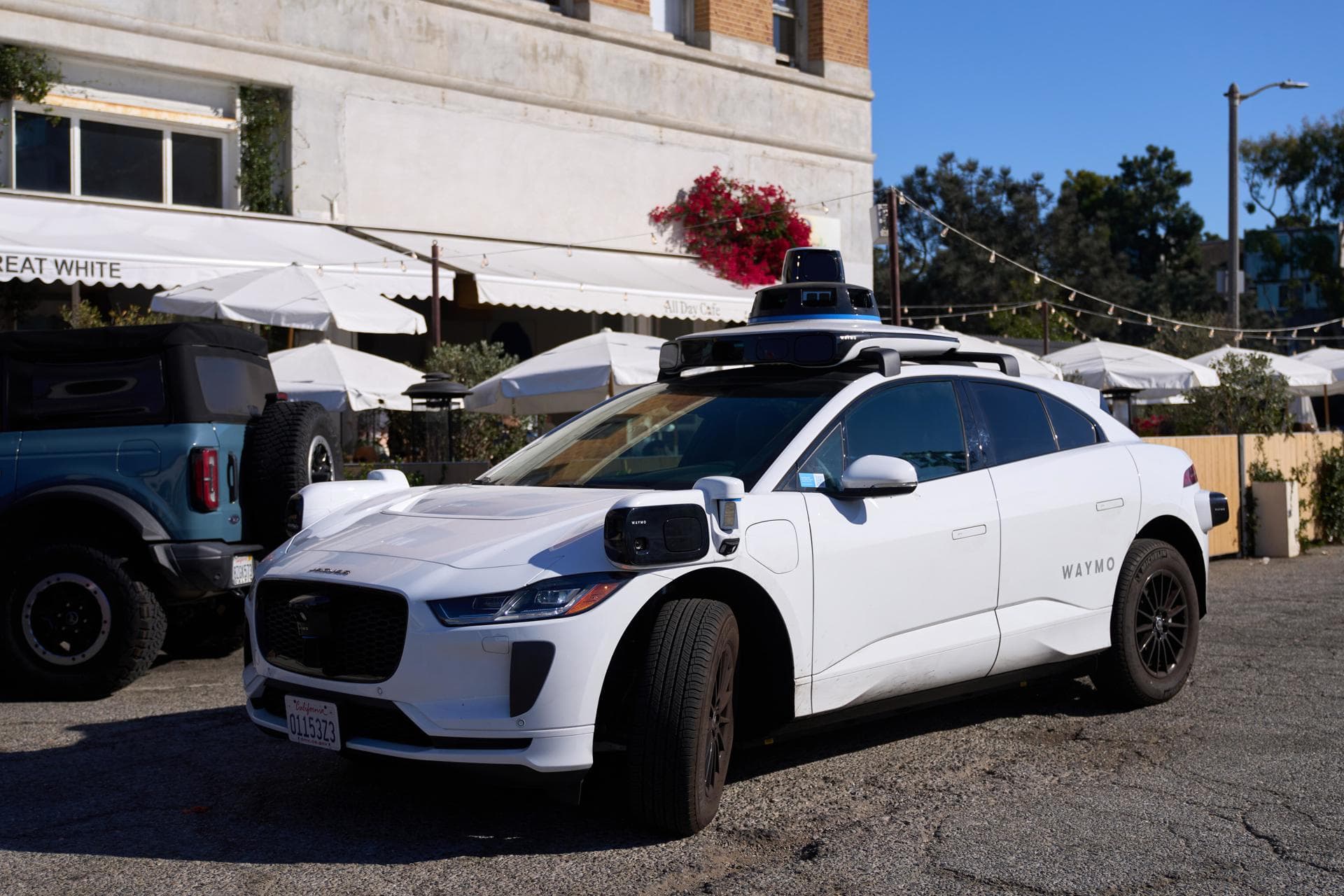 Musk impulsa su IA, Waymo aventaja a Tesla y otros clics tecnológicos en América