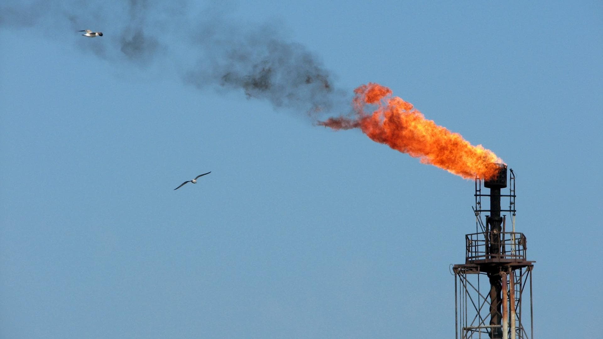 El petróleo baja en más de 7%