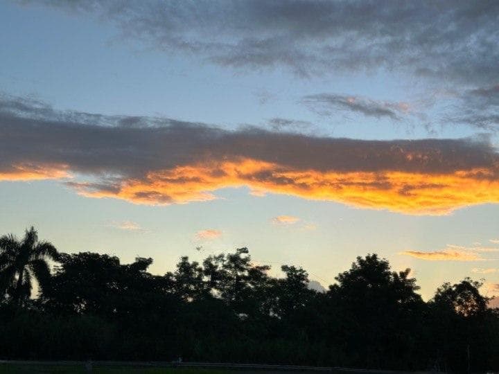 Declaración de Peligro de Incendios en vigor para este viernes