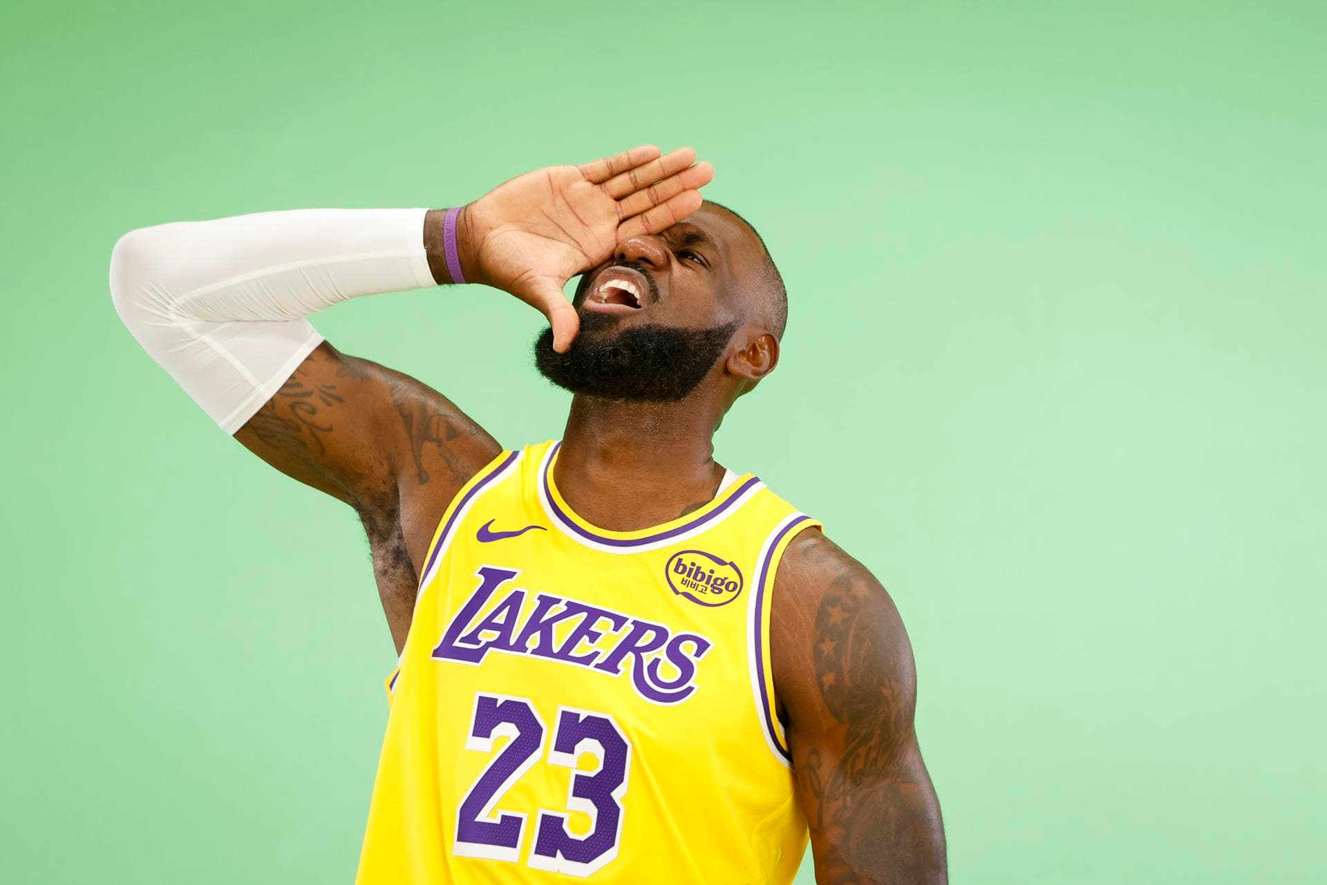 LeBron James se queda solo