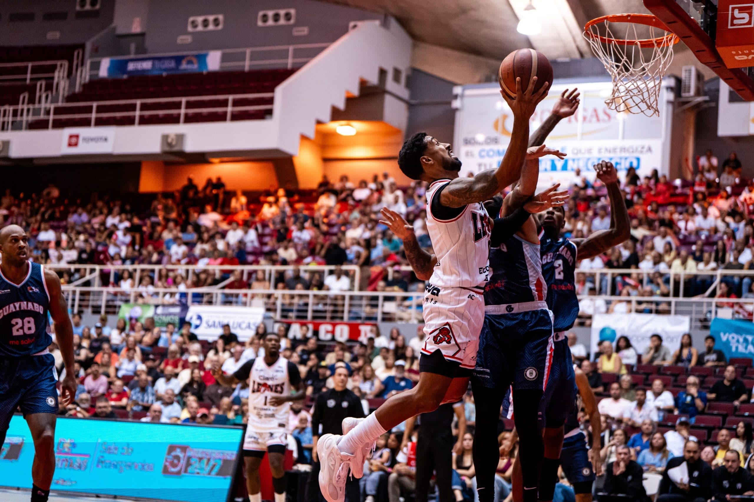 Osos y Leones con victorias en el BSN