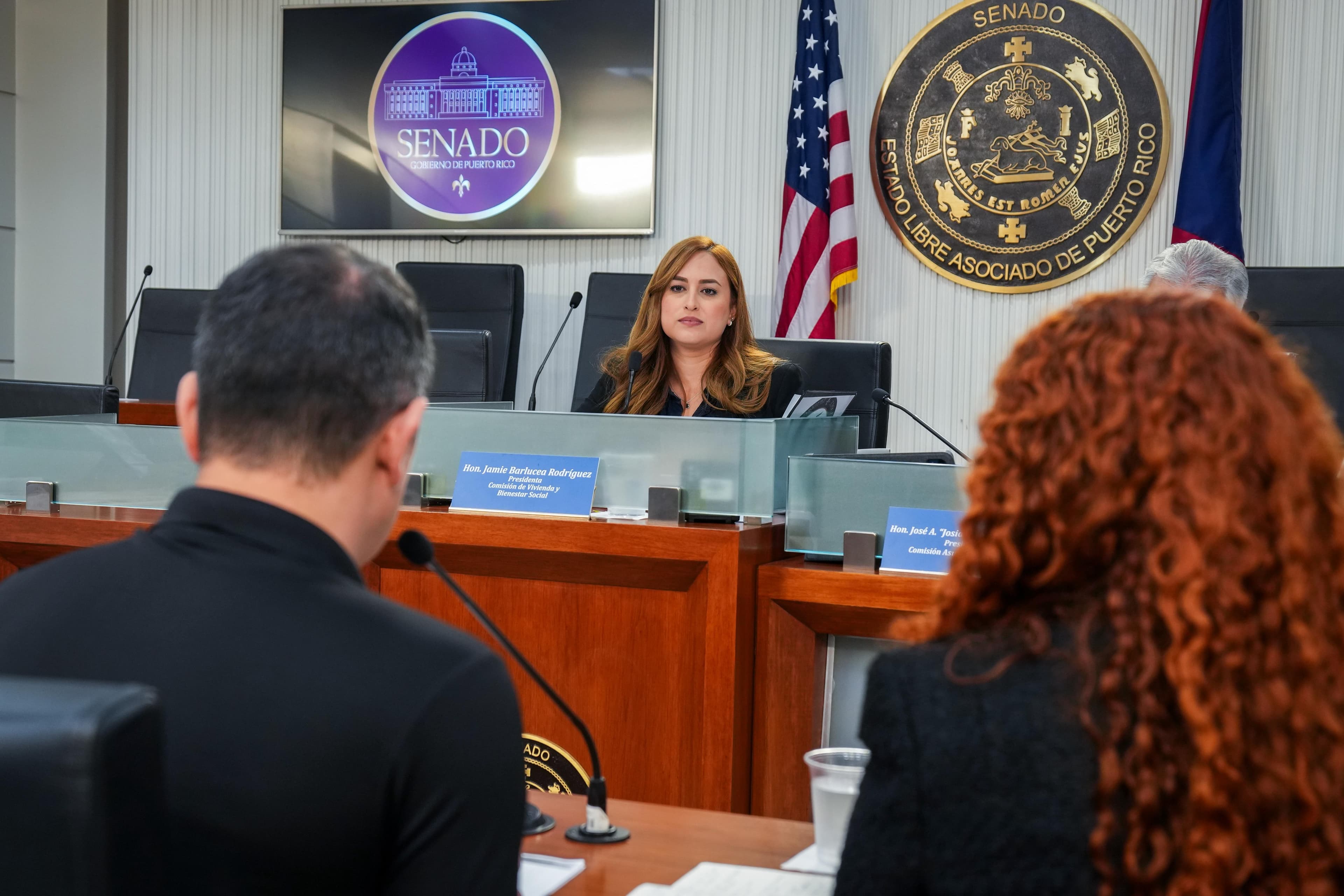 Comisiones del Senado investigan manejo de propiedades abandonadas y estorbos públicos en Puerto Rico