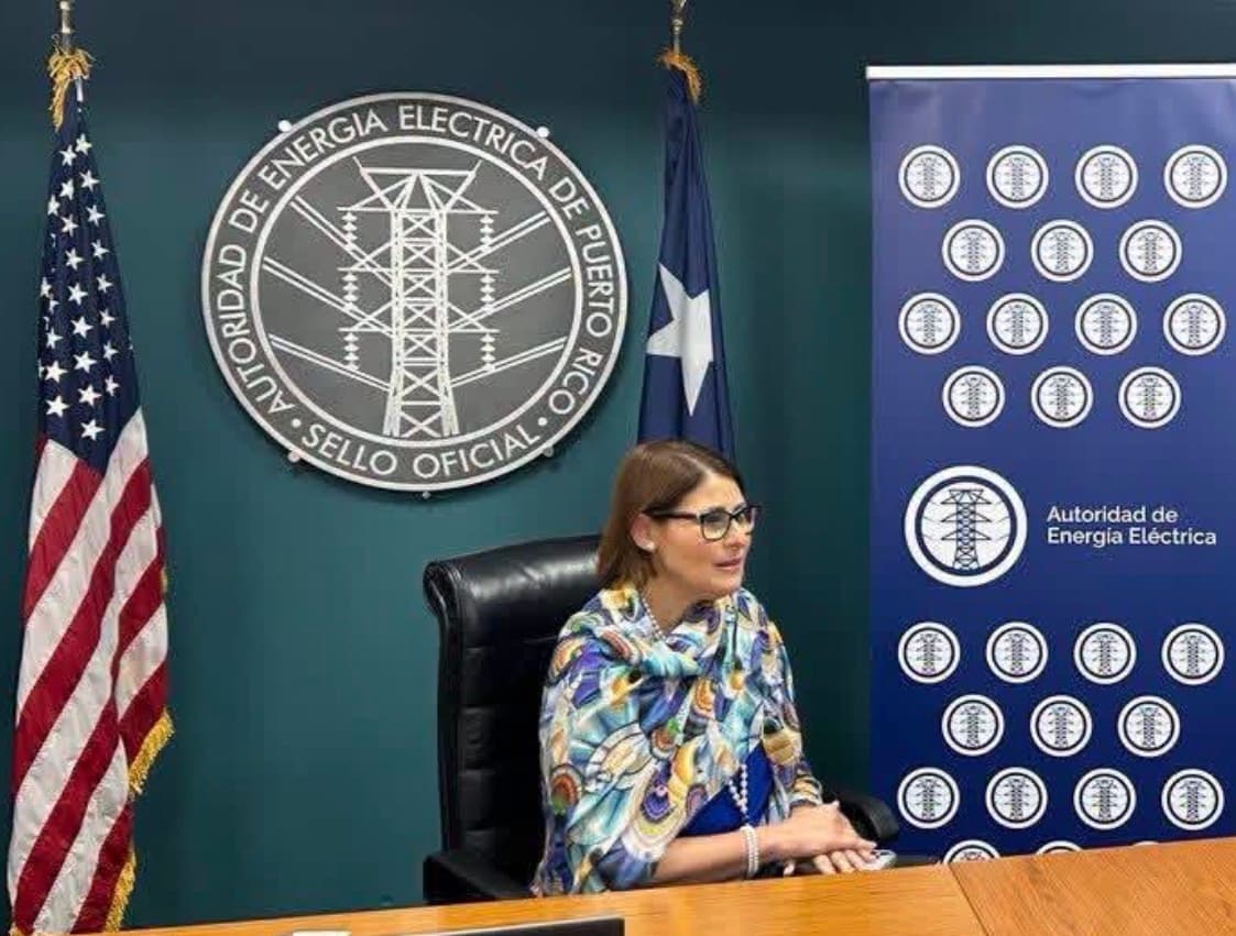 Renuncia directora ejecutiva de la AEE