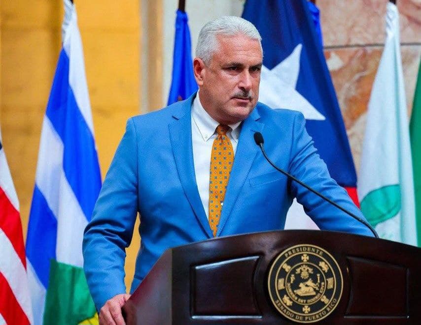 Rivera Schatz presenta medida para aclarar ofrecimientos de seguros para mascotas