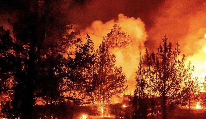 Imagen del artículo de NewsPR: Los incendios se intensifican en noroeste de EEUU: Oregón rompe récord de área quemada