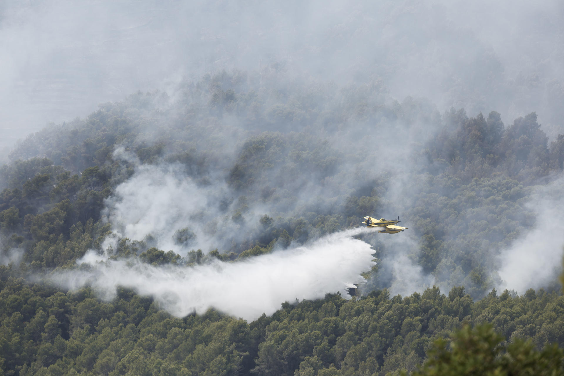 Imagen de la cobertura de: Los incendios del centro de España están “técnicamente estabilizados”