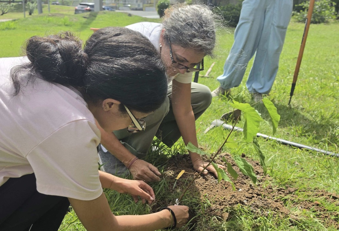 Imagen de la cobertura de: Jóvenes con discapacidad intelectual siembran árboles en Guaynabo para crear espacios verdes